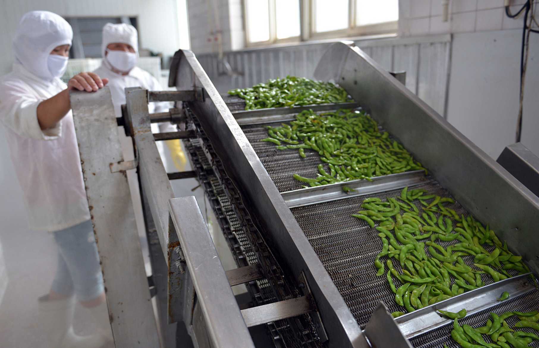 智能凈菜包裝機，引領(lǐng)健康生活潮流——揭秘高效包裝新科技