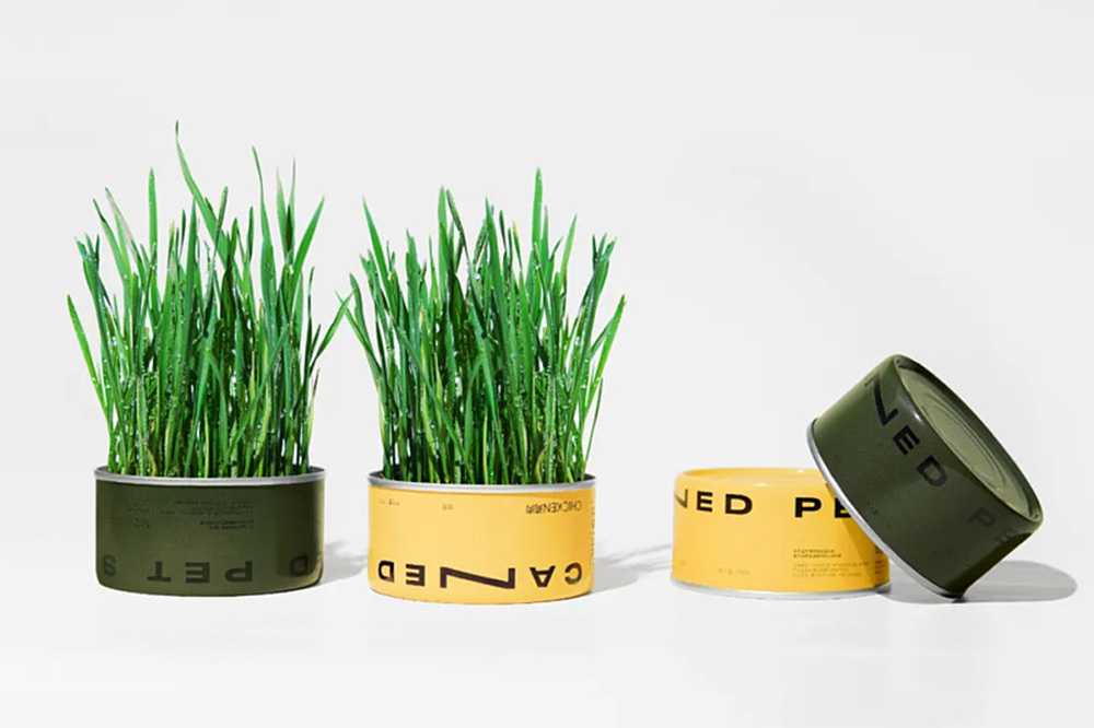 智造綠色活力，賦能高效未來——呂工機械全自動杯裝貓草生產(chǎn)線