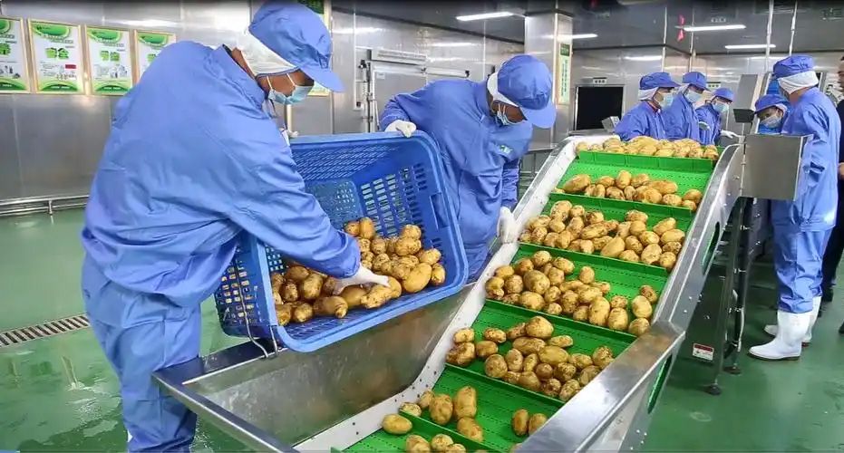 1743300967991516.jpg 凈菜01.jpg